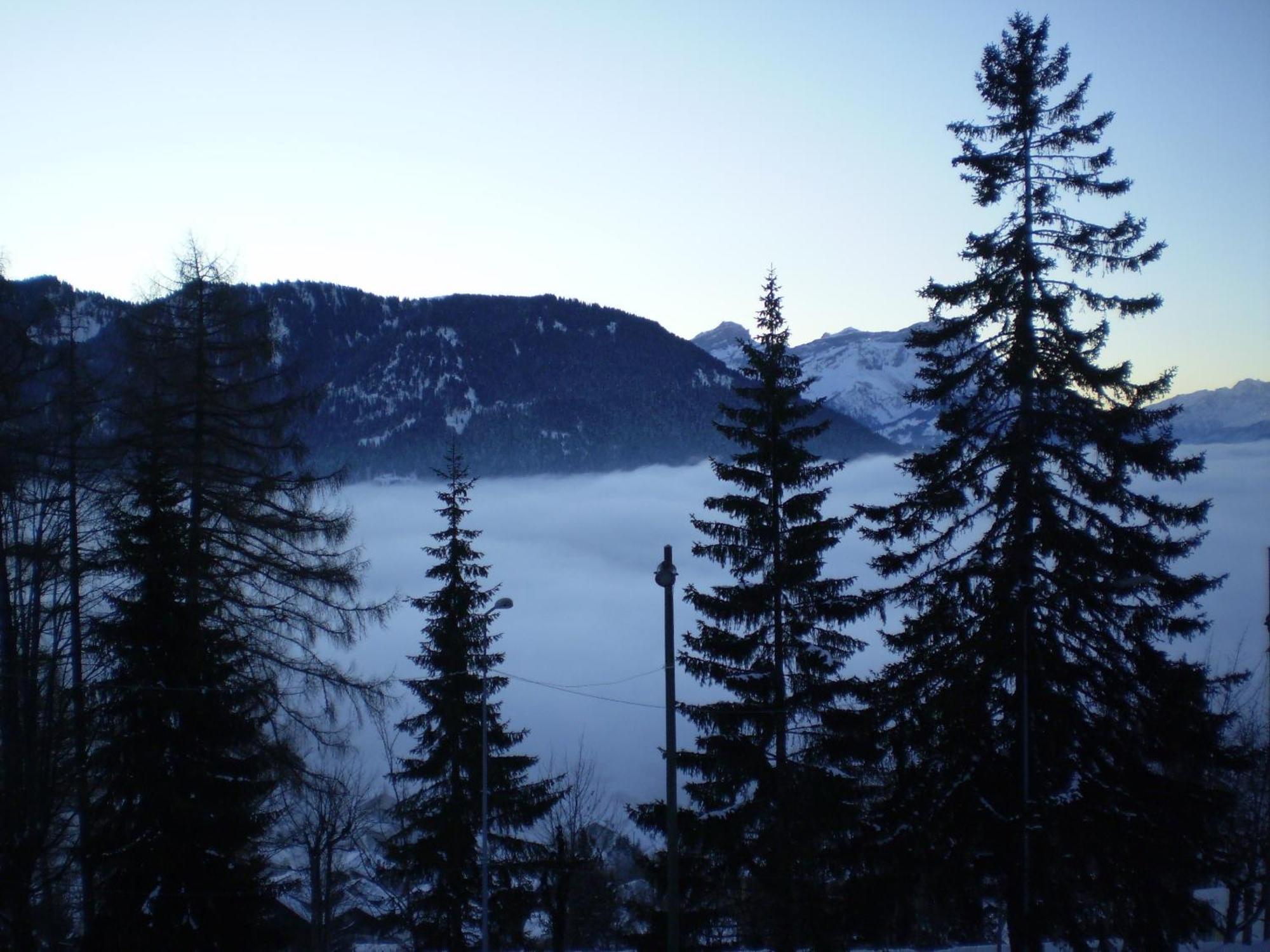 Residences Du Chamossaire Leysin Bagian luar foto